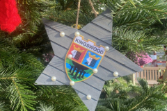 Star on Christmas tree